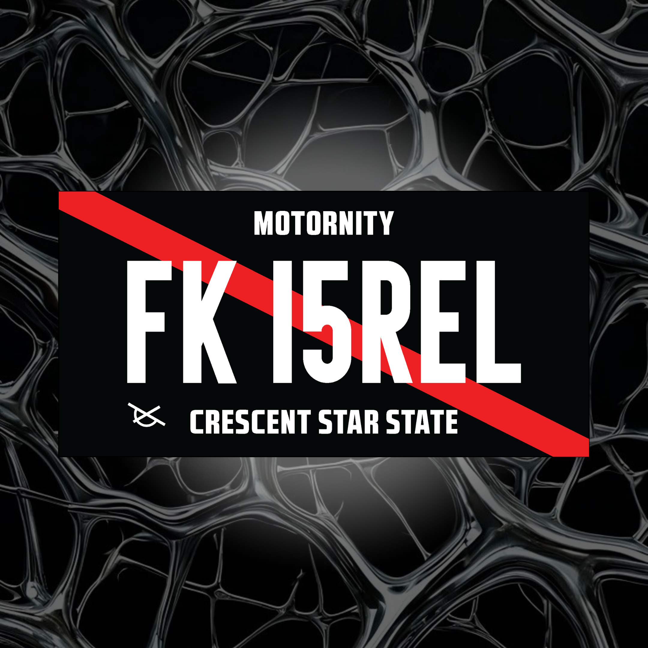 FK I5REL License Plate