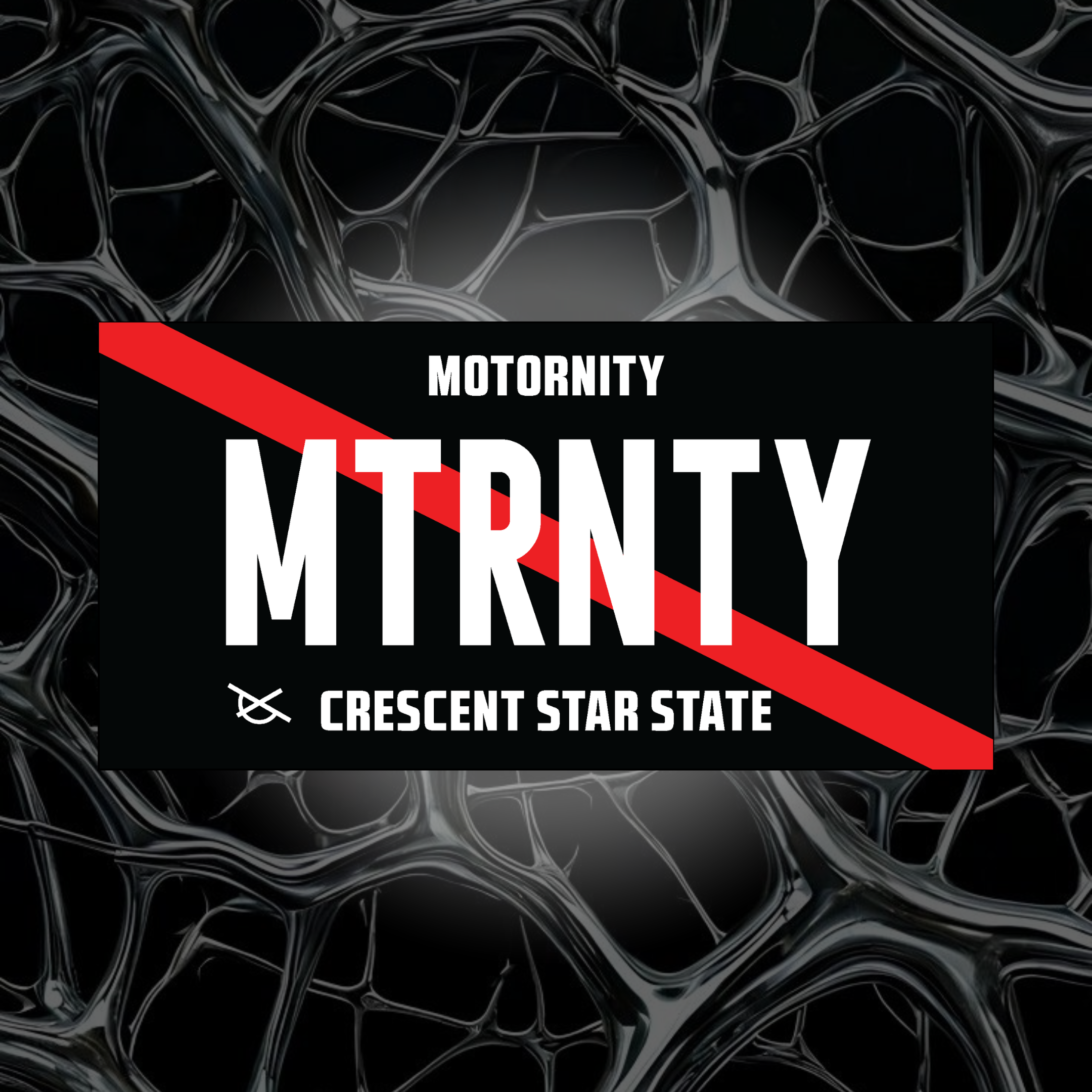 MTRNTY License Plate