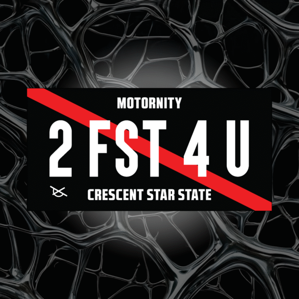 2 FST 4 U License Plate