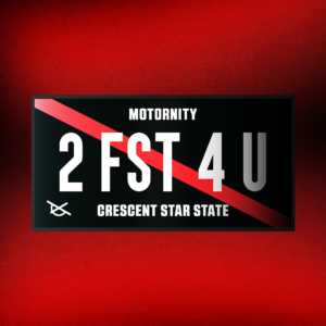 2 FST 4 U License Plate